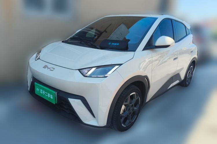 Used BYD Seagull 2025 305 km Free Version Guazi used car, China used car export, Used car for sale, Used  cars, Cheapest cars for sale