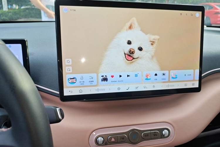 Used BYD Seagull 2025 Smart Drive Version 305 km Freedom Edition Audio And AC Panel