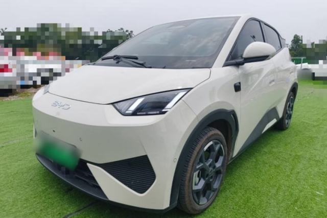 Used BYD Seagull 2025 Smart Drive Version 305 km Freedom Edition
