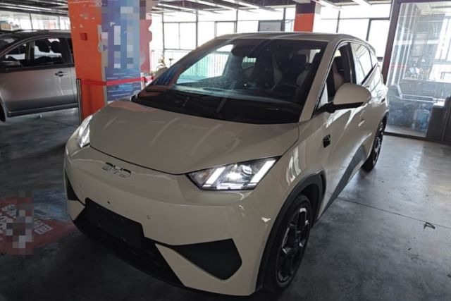 Used BYD Seagull 2025 Smart Drive Version 305 km Freedom Edition