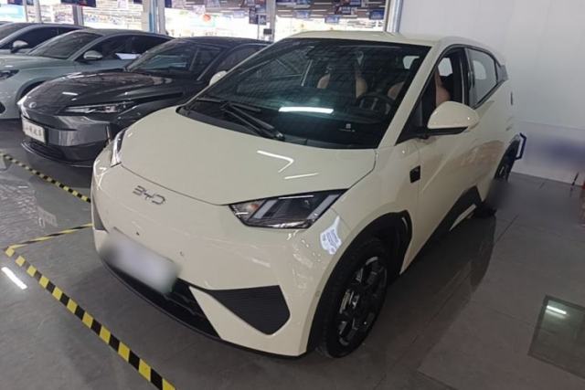 Used BYD Seagull 2025 Smart Drive Version 305 km Freedom Edition