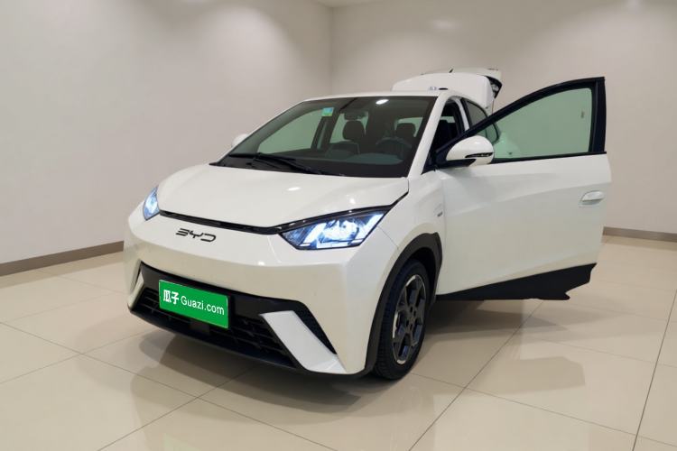BYD Seagull 2025 305 km Free Version