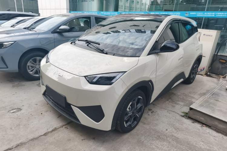 BYD Seagull 2025 Model Smart Drive Version 405km Free-Spirited Version