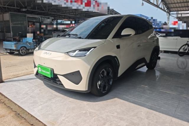 Used BYD Seagull 2025 Smart Drive Version 305 km Freedom Edition