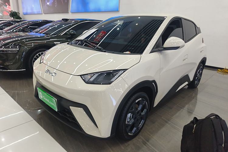 Used BYD Seagull 2025 305 km Free Version Guazi used car, China used car export, Used car for sale, Used  cars, Cheapest cars for sale