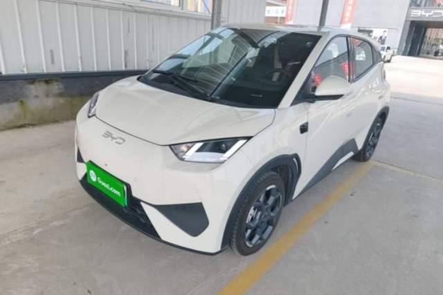 Used BYD Seagull 2025 Smart Drive Version 305 km Freedom Edition