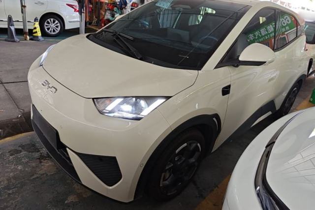 Used BYD Seagull 2025 Smart Drive Version 305 km Freedom Edition