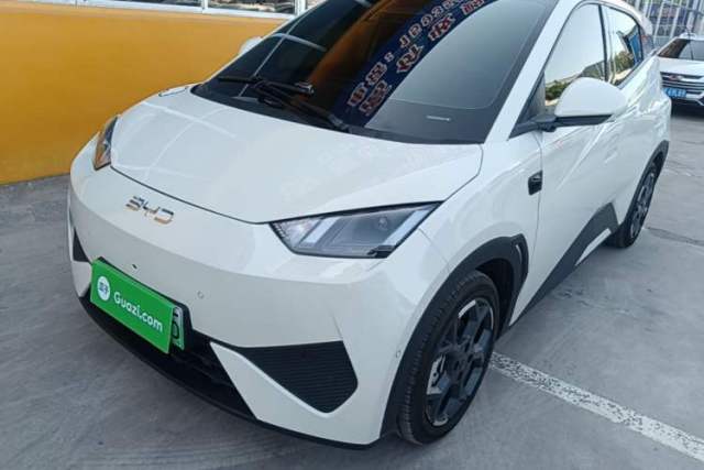 Used BYD Seagull 2025 Smart Drive Version 305 km Freedom Edition