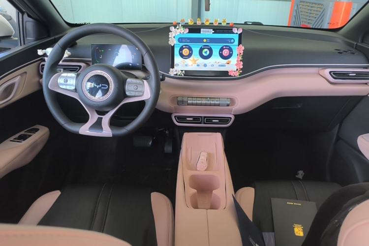 Used BYD Seagull 2025 305km Active Version Center Console