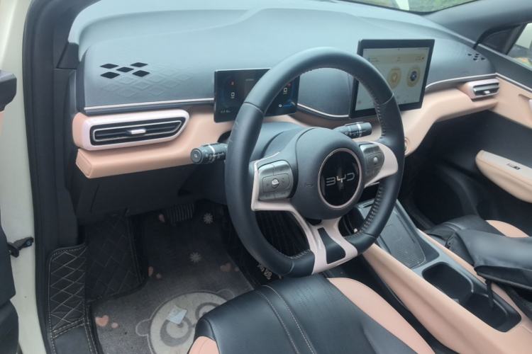 Used BYD Seagull 2025 305 km Free Version Center Console