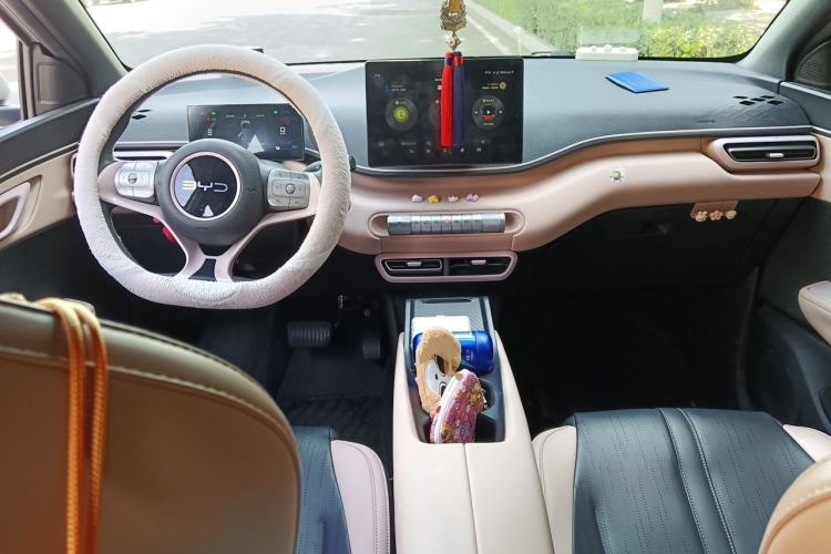 Used BYD Seagull 2025 305km Active Version Center Console