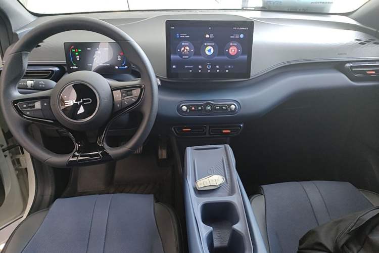 Used BYD Seagull 2025 Intelligent Driving Version 305 km Dynamic Edition Center Console