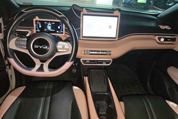 Used BYD Seagull 2025 305 km Free Version Center Console