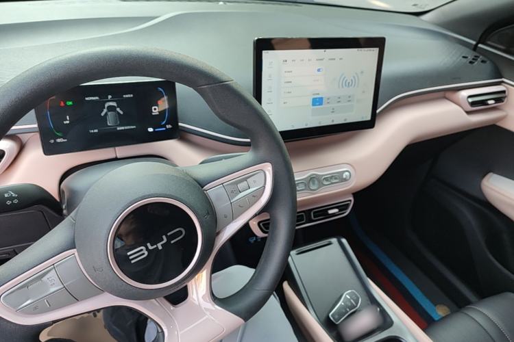 Used BYD Seagull 2025 Intelligent Driving Version 305 km Dynamic Edition Center Console