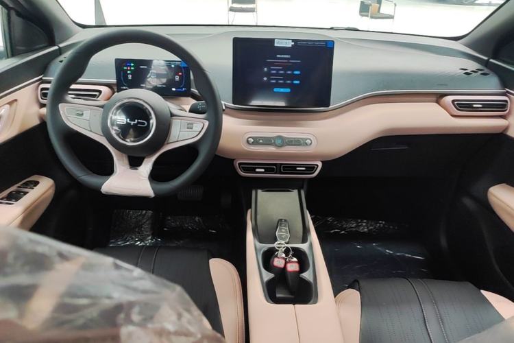 Used BYD Seagull 2025 Intelligent Driving Version 305 km Dynamic Edition Center Console