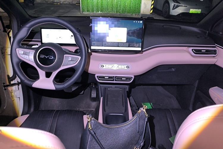 Used BYD Seagull 2025 Smart Drive Version 305 km Freedom Edition Center Console