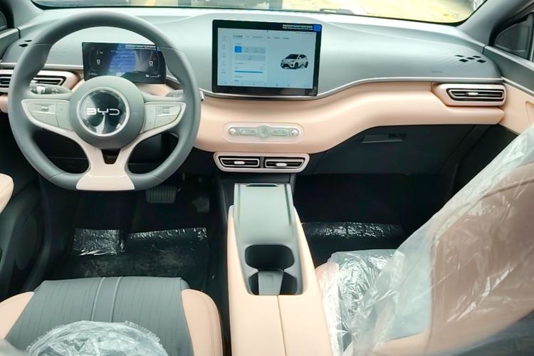 Used BYD Seagull 2025 Intelligent Driving Version 305 km Dynamic Edition Center Console