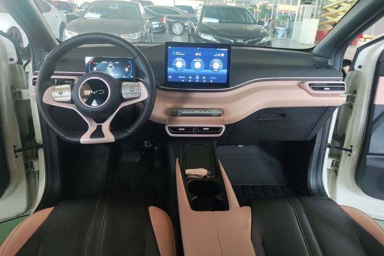 Used BYD Seagull 2025 305 km Free Version Center Console
