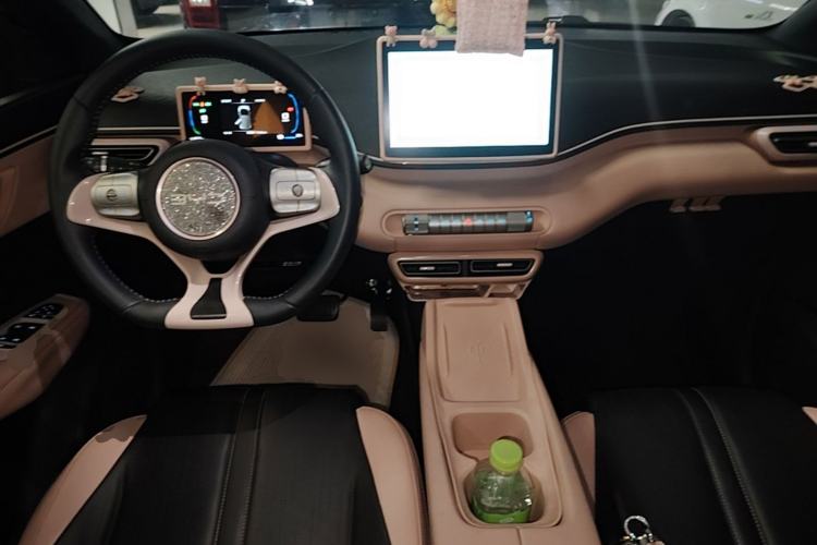 Used BYD Seagull 2025 305 km Free Version Center Console
