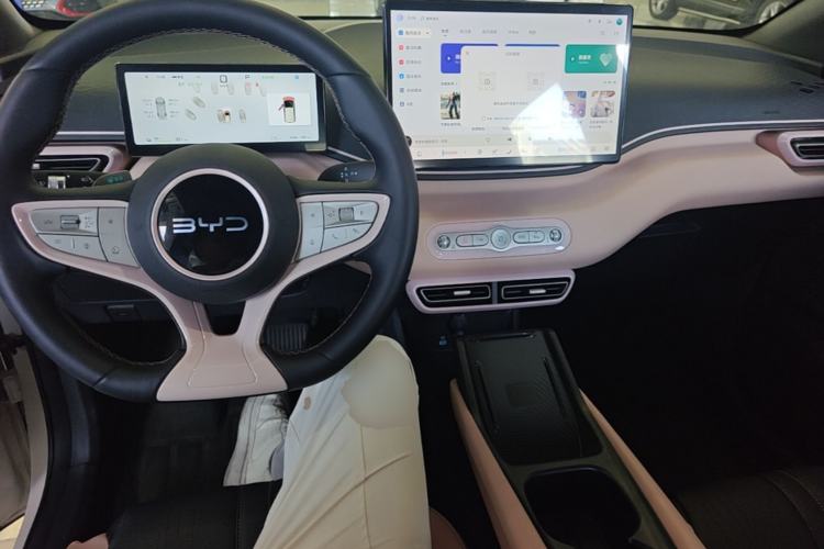 Used BYD Seagull 2025 Smart Drive Version 305 km Freedom Edition Center Console