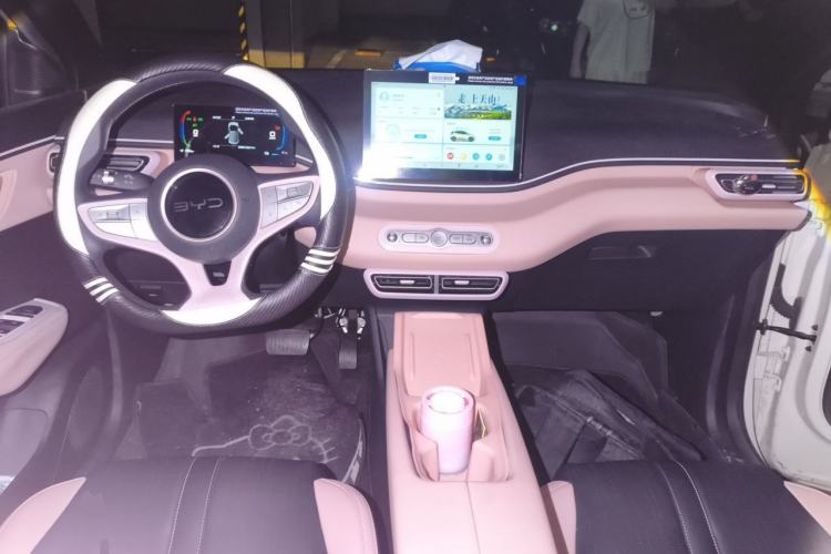 Used BYD Seagull 2025 305km Active Version Center Console
