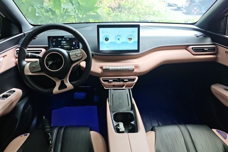 Used BYD Seagull 2025 305 km Free Version Center Console