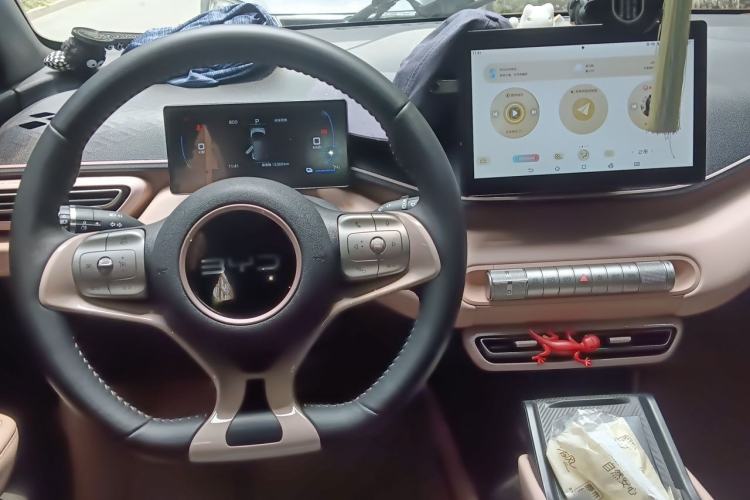 Used BYD Seagull 2025 305 km Free Version Center Console