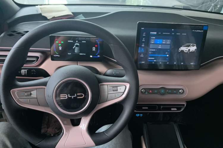 Used BYD Seagull 2025 Intelligent Driving Version 305 km Dynamic Edition Center Console