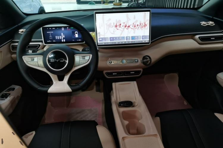 Used BYD Seagull 2025 Smart Drive Version 305 km Freedom Edition Center Console