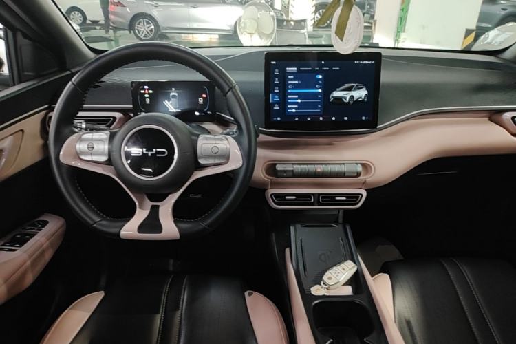 Used BYD Seagull 2025 305 km Free Version Center Console