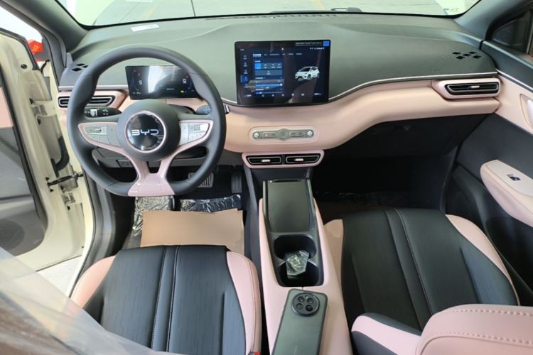 Used BYD Seagull 2025 Intelligent Driving Version 305 km Dynamic Edition Center Console