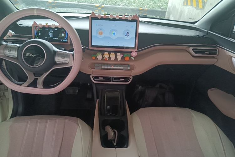 Used BYD Seagull 2025 305 km Free Version Center Console