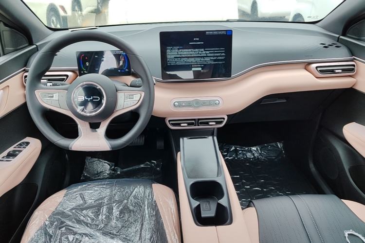 Used BYD Seagull 2025 Intelligent Driving Version 305 km Dynamic Edition Center Console
