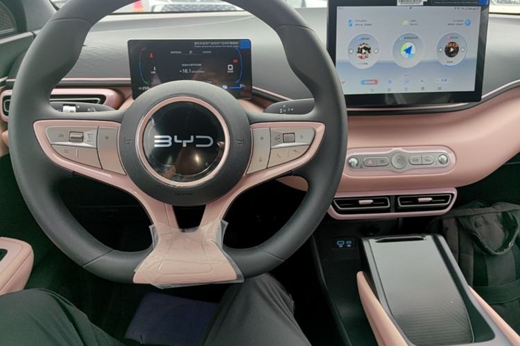 Used BYD Seagull 2025 Intelligent Driving Version 305 km Dynamic Edition Center Console