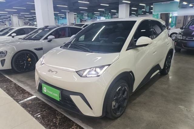 Used BYD Seagull 2025 305 km Free Version