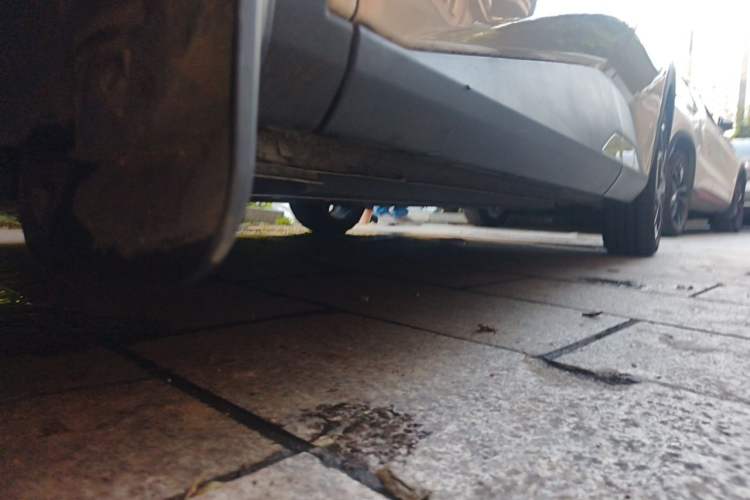 Used BYD Seagull 2025 405 km Flying Edition Chassis Front Left