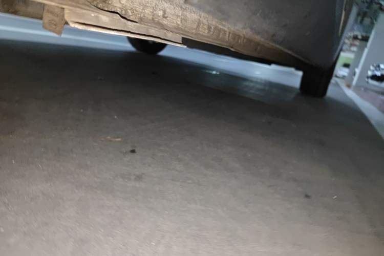 Used BYD Seagull 2025 305 km Free Version Chassis Rear Right