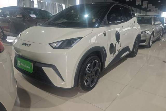 Used BYD Seagull 2025 305 km Free Version