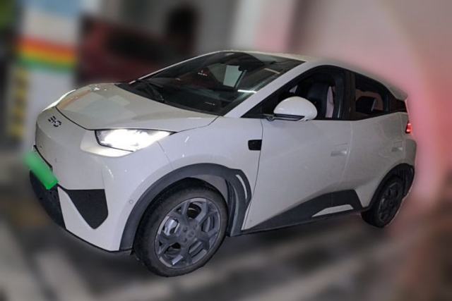 Used BYD Seagull 2025 Smart Drive Version 305 km Freedom Edition