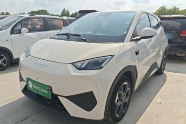 Used BYD Seagull 2025 Smart Drive Version 305 km Freedom Edition