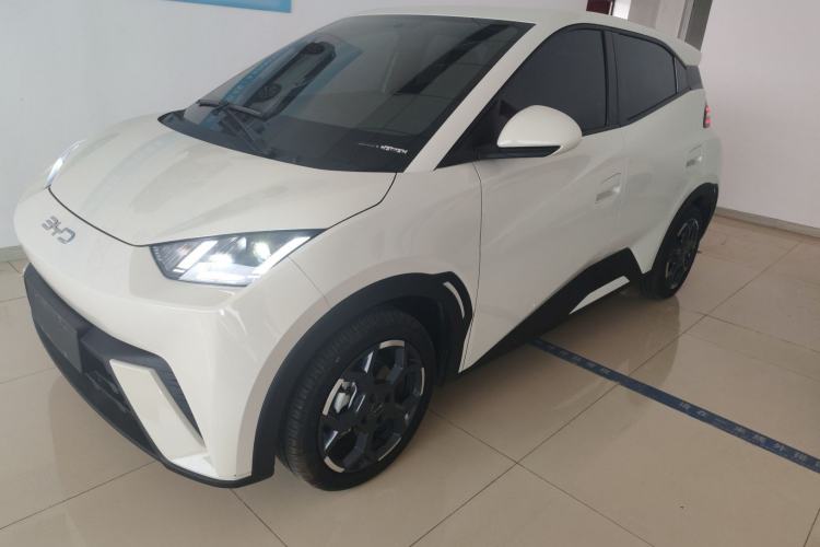 BYD Seagull 2025 305 km Free Version
