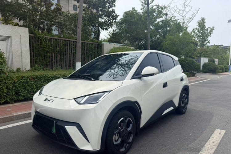 Used BYD Seagull 2025 305 km Free Version Guazi used car, China used car export, Used car for sale, Used  cars, Cheapest cars for sale