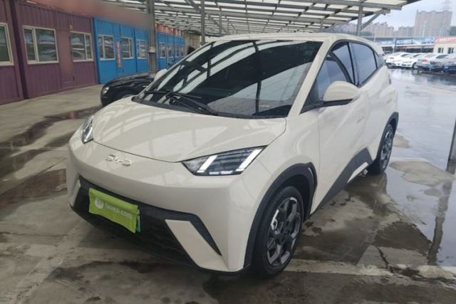 Used BYD Seagull 2025 305 km Free Version