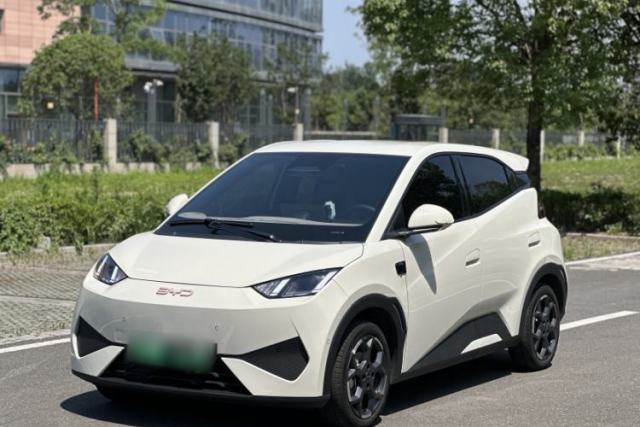 Used BYD Seagull 2025 Smart Drive Version 305 km Freedom Edition