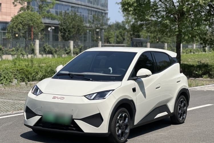 Used BYD Seagull 2025 Smart Drive Version 305 km Freedom Edition Guazi used car, China used car export, Used car for sale, Used cars, Cheapest cars for sale