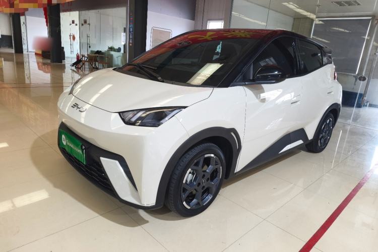 BYD Seagull 2025 305 km Free Version