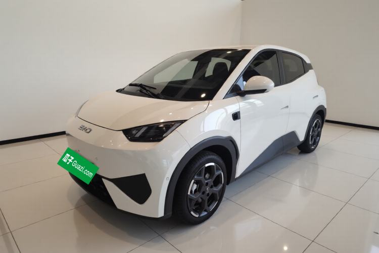 BYD Seagull 2025 Smart Drive Version 305 km Freedom Edition
