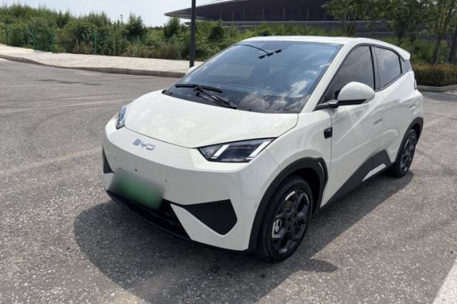 Used BYD Seagull 2025 Smart Drive Version 305 km Freedom Edition