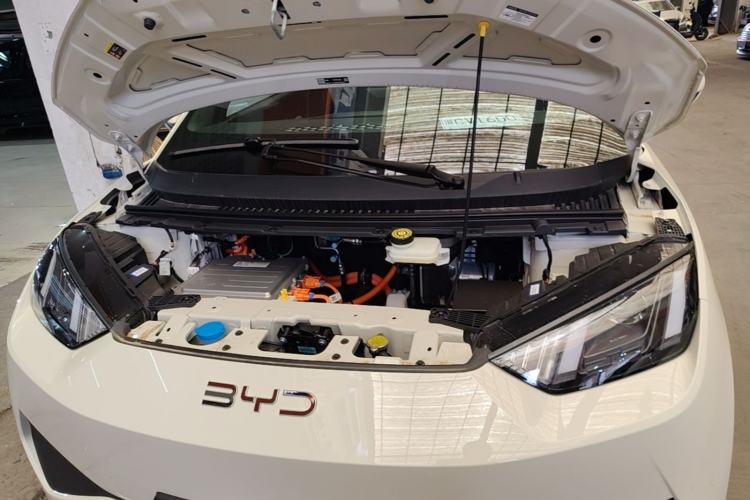 Used BYD Seagull 2025 Intelligent Driving Version 305 km Dynamic Edition Engine Bay