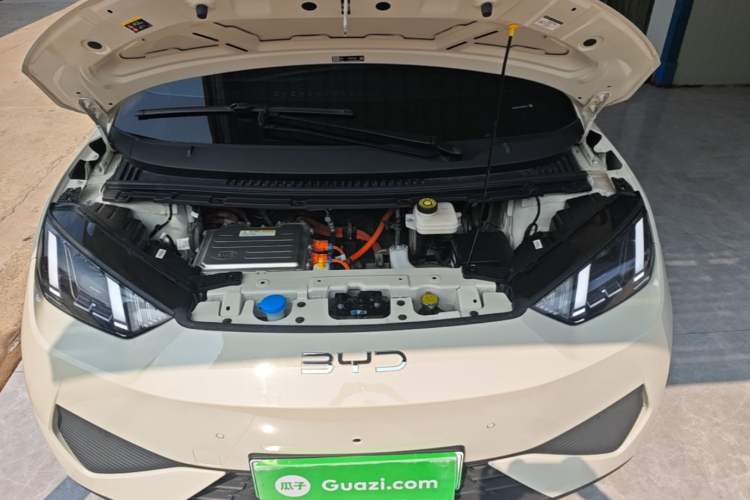 Used BYD Seagull 2025 Smart Drive Version 305 km Freedom Edition Engine Bay